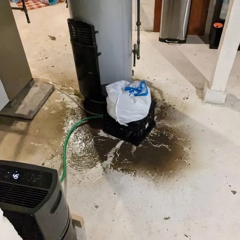 Sewage Backup Cleanup Service in Vernal, UT